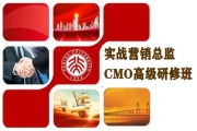 北京大学实战营销总监CMO高级研修班
